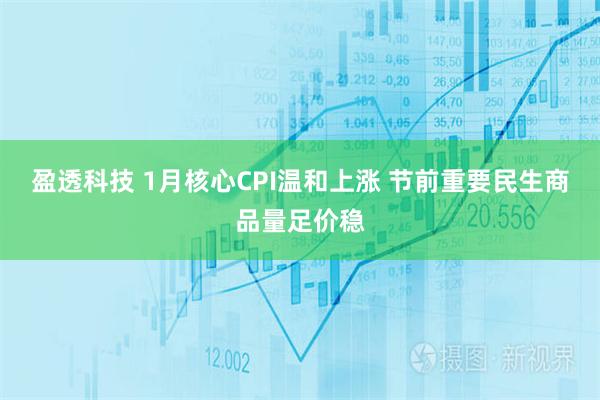 盈透科技 1月核心CPI温和上涨 节前重要民生商品量足价稳